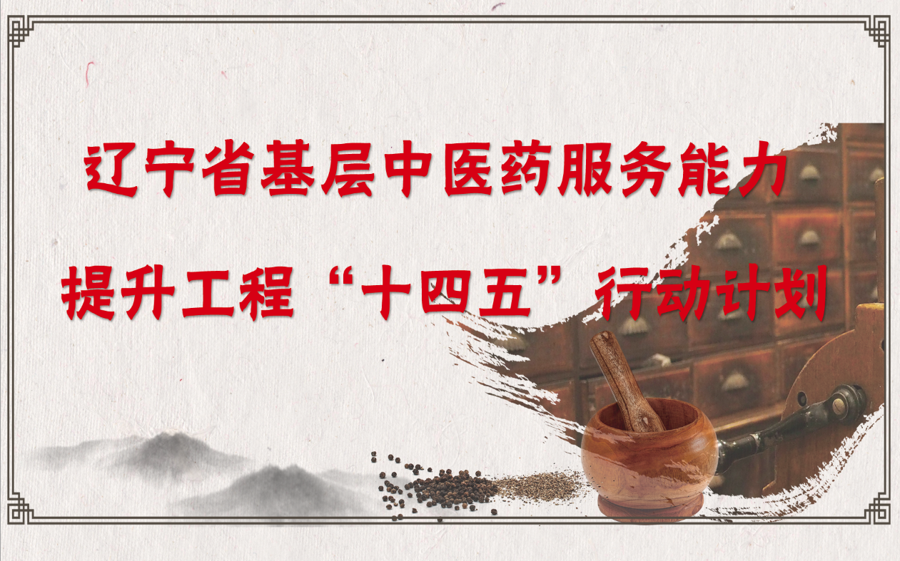 辽宁省基层中医药服务能力提升工程十四五行动计划