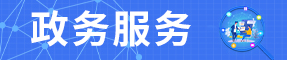 政务服务.jpg
